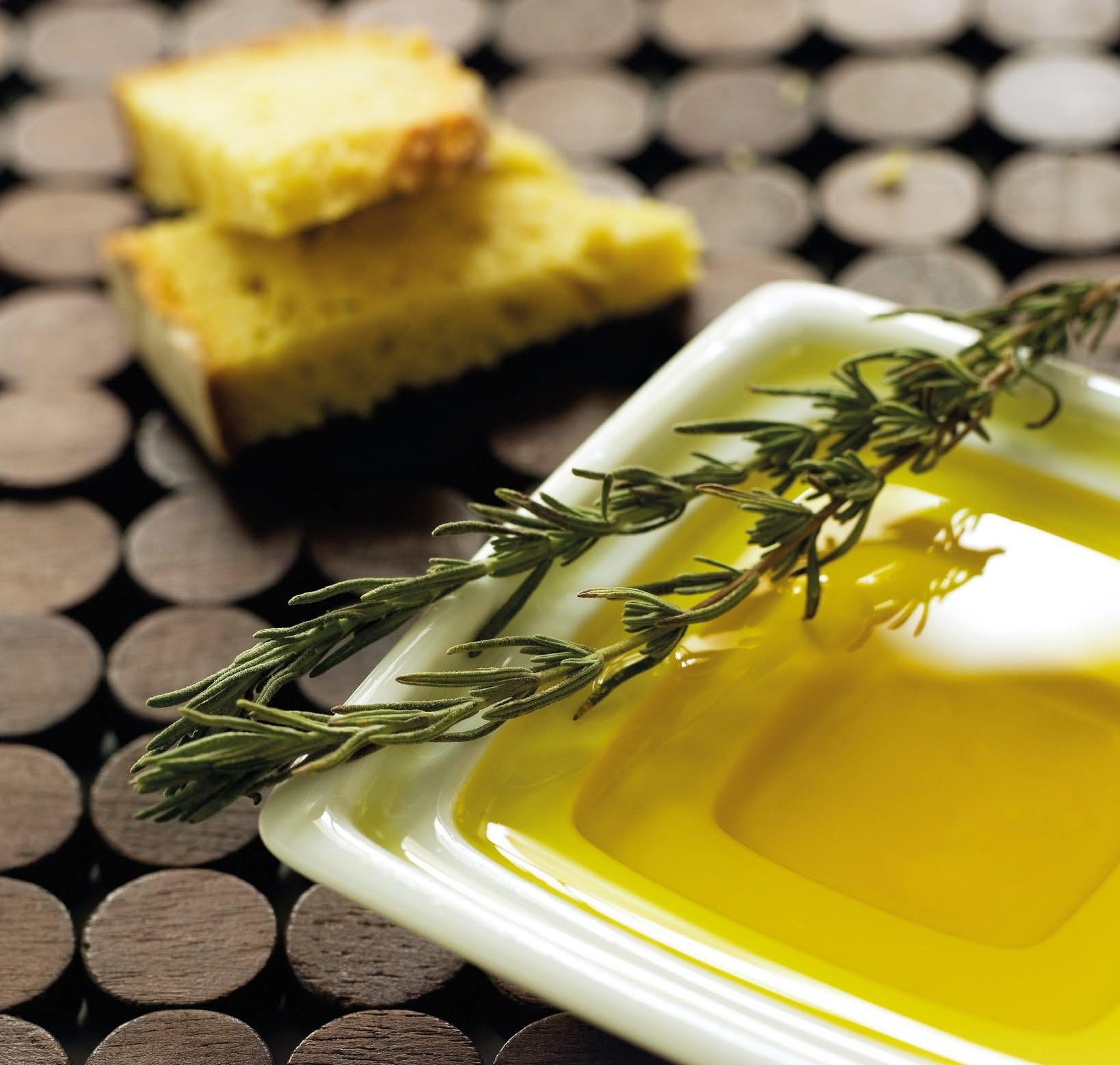 495786547_1268200131978247_9101274149867208944_n